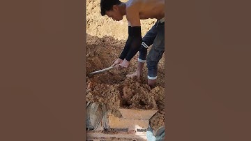 This is the process of making red bricks #machine #shorts #brick