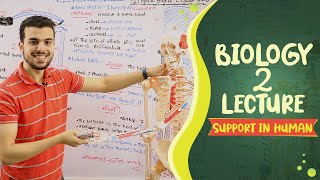 Biology(3) lecture 2 |The appendicular skeleton : shoulder,pelvic girdle, upper,lower limb|