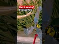 What breaks an arm? 💪🤔