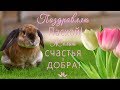 💗Самое красивое поздравление с Праздником Пасхи!💗Поздравляю с Пасхой! Желаю счастья и добра!💗