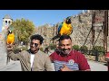Georgia Tour Video 2:  Jvari & Mstkheta Video | ജോർജിയയുടെ പഴയ തലസ്ഥാനവും ഒരു ആശ്രമവും