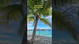 Download Lagu INSOS MIRINO..lada terbaru 2025 MP3