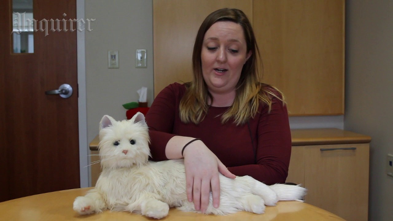 Robotic Companion Cats - YouTube