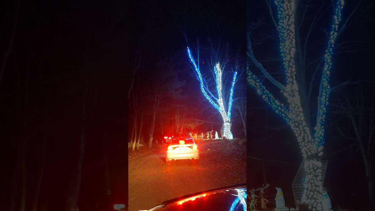 Southwick Zoo Winter Wonderland drive thru 11/28/2020 YouTube