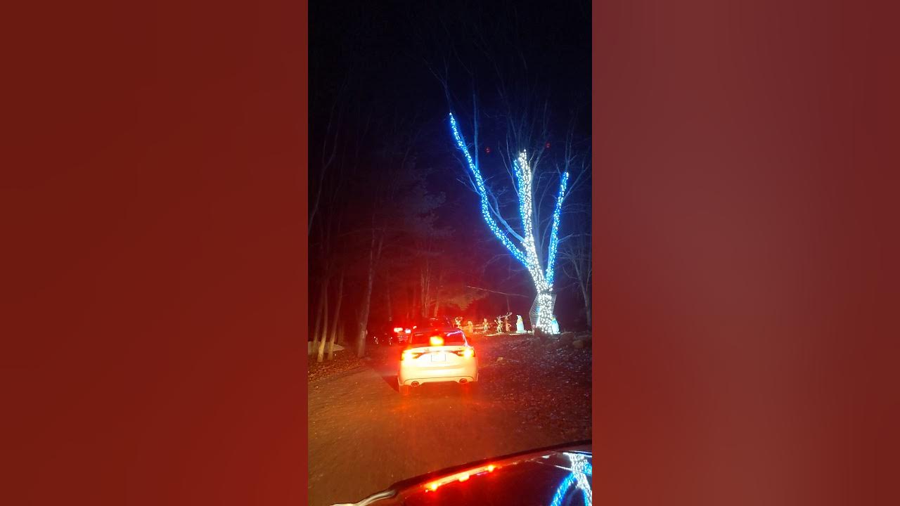 Southwick Zoo Winter Wonderland drive thru 11/28/2020 YouTube