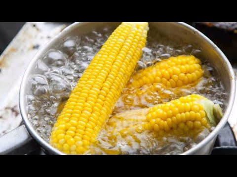 Rebus Jagung
