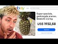 De duurste ananas die ik ooit heb gezien..