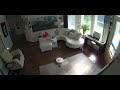 Robotic Vacuum Cleaner Smears Dog Poop on Carpet - 1069832-4