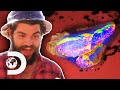 “At A Minimum We’re Looking At $8000 As A Cut Stone Boys!” | Outback Opal Hunters