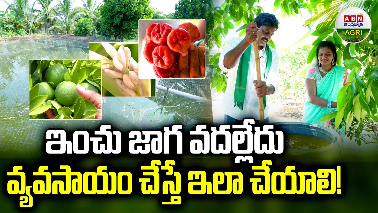 18 ఎకరాలు ఇంచు జాగ వదల్లేదు వ్యవసాయం ఇలా చేయాలి! |If you do farming, do it! Part-1 - ABN Agri