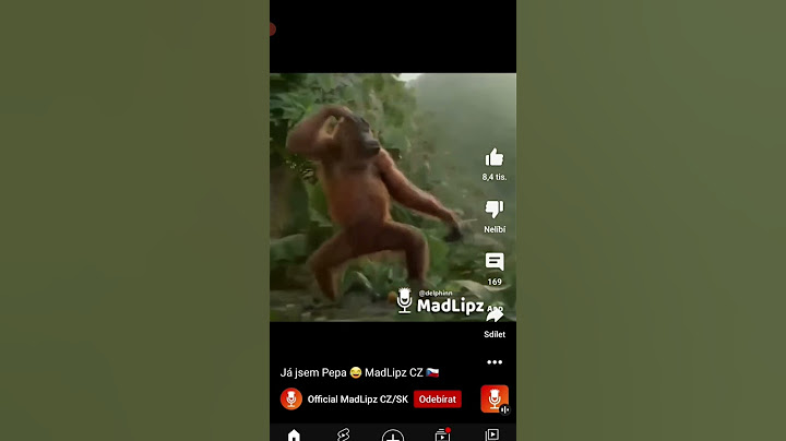 a já jsem pepa s placu