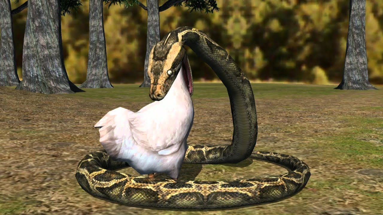 fight with snake and hen, must see by all in one YouTube