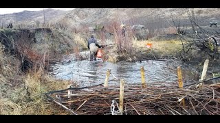 Restoring streams post-fire with low-tech structures in Idaho by Idaho Conservation Commission 93,588 views 4 years ago 8 minutes, 50 seconds