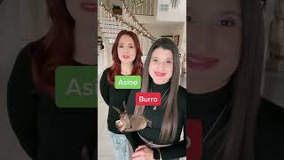 Animals In Spanish And