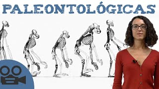 Biochemical evolutionary evidence