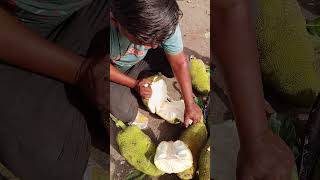 मेरठ मंडी में कटहल डेढ़ सौ रुपए ढ़ाई।। meerut mandi bhav update #farming #ganvkilifestyle