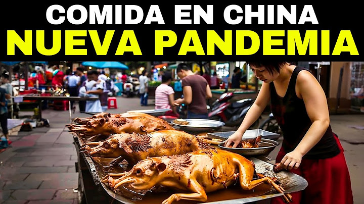 Los 20 Alimentos Más Extraños Que Se Comen En China