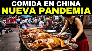 Los 20 Alimentos Más Extraños Que Se Comen En China