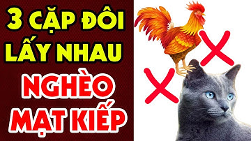 3 Cặp Con Giáp ĐẠI XUNG KHẮC Cứ Lấy Nhau Là Nghèo Xơ Xác Tới Già - Tiền Bạc Trong Nhà Đội Nón Ra Đi