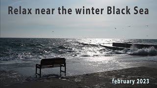 Relax near the winter Black Sea