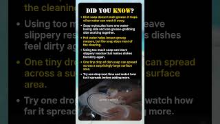 Dish Soap Doesn’t Destroy Grease Like You Think