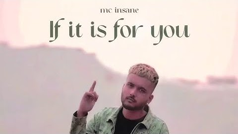 MC Insane - If it is for you Instrumental || The Heal Album || FREE FOR PROFIT @MCINSANE666