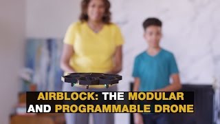 Airblock: The Modular and Programmable Drone