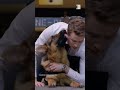 Dog performers on beloved Canadian TV show "Hudson & Rex" were allegedly poisoned