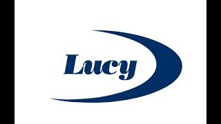 Introduction to Lucy Group