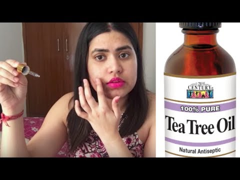 Top  ways to use TEA TREE OIL & benefits for acne / face / hair / skin / body | टी ट्री ऑयल
