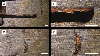 Figure Maker Module for QuickPHOTO screenshot 3