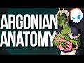 Skyrim Lore: Why Do Argonians Have Breasts? | Gnoggin - Elder Scrolls Theory