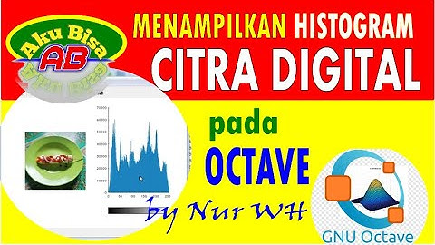 CARA MUDAH MENAMPILKAN HISTOGRAM CITRA DIGITAL PADA OCTAVE