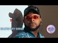 Davido & Chris Brown - Blow My Mind (Official Audio)