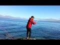 Salmón coho del lago Llanquihue. Puerto varas. Pesca. Salmón coho