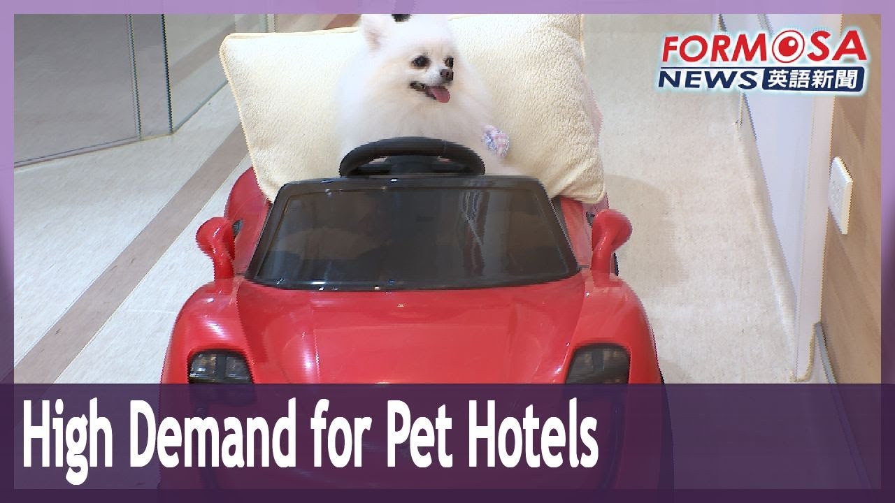 High demand for pet hotels ahead of Lunar New Year YouTube