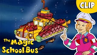 Sinking & Floating | Buoyancy | Science for Kids | The Magic School Bus