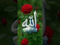 Kadir Ansari king