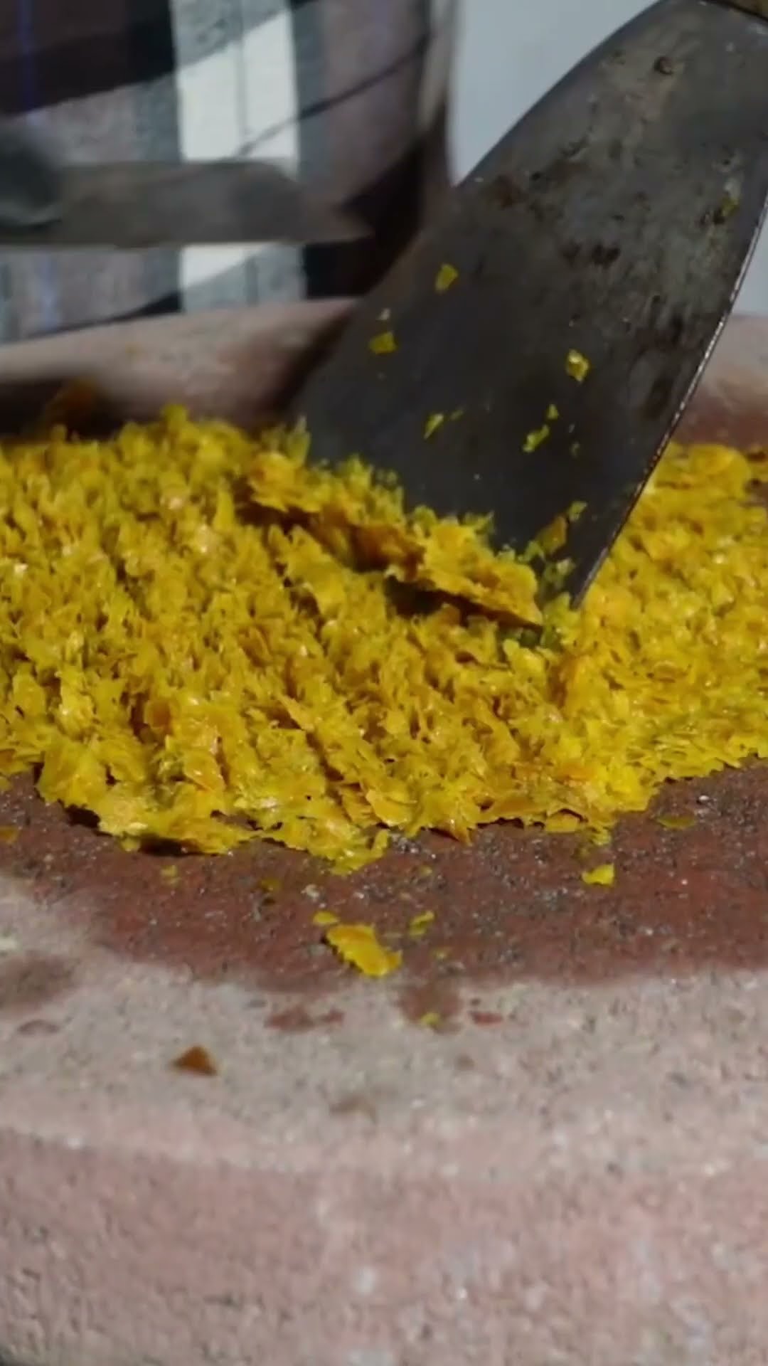 from fallen leaves to useable paper #leaves #ASMR #repurpose