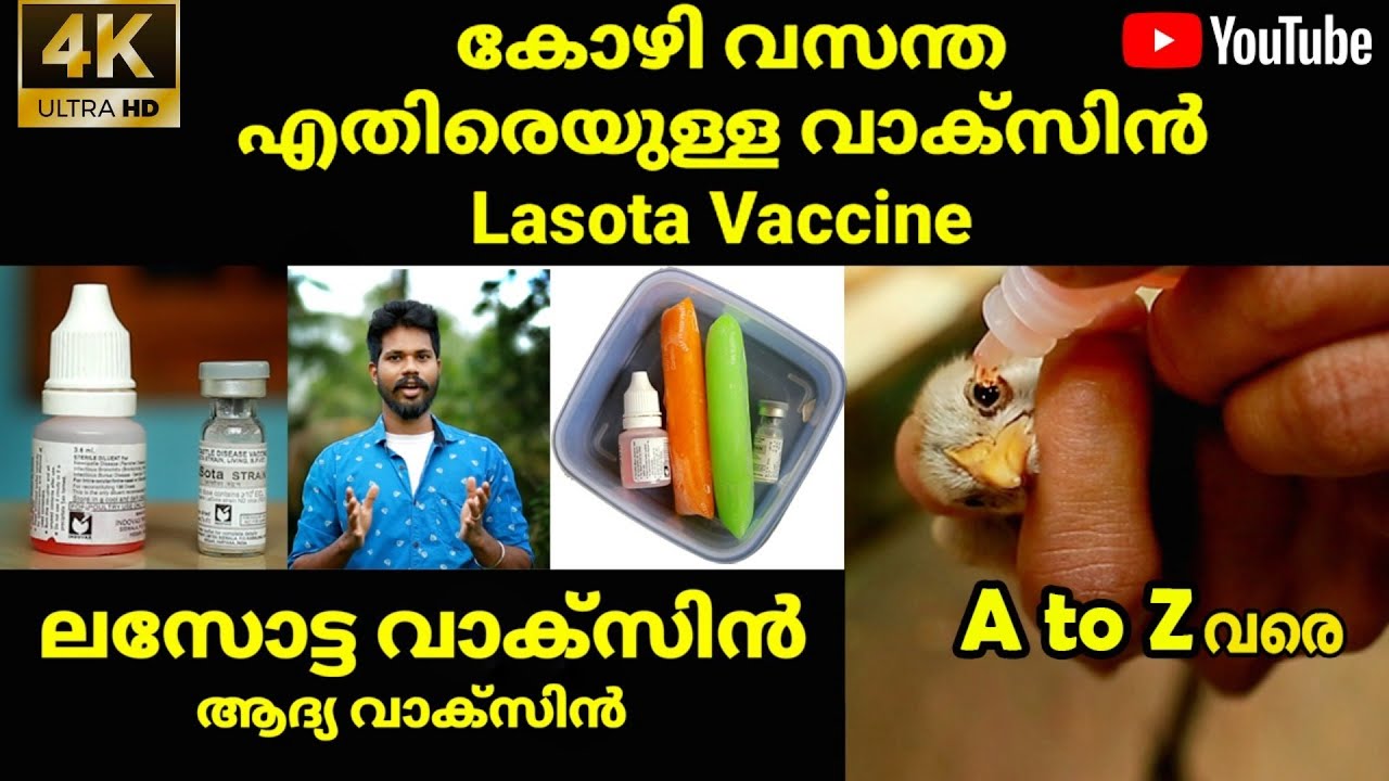 Lasota Vaccine Malayalam A to Z വരെ. കോഴി വസന്തക്ക്‌ എതിരെയുള്ള വാക്സിൻ