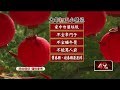 新春活動與文化