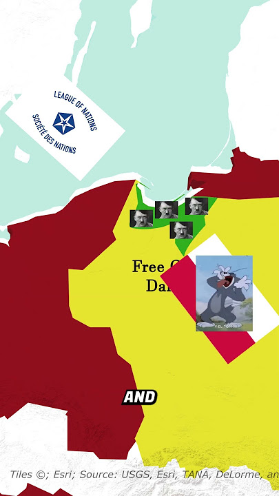 What excuses did Hitler use to Invade Poland in World War 2? #history #germany