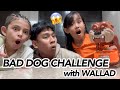 Bad dog challenge with wallad smith laptrip   grae and chloe