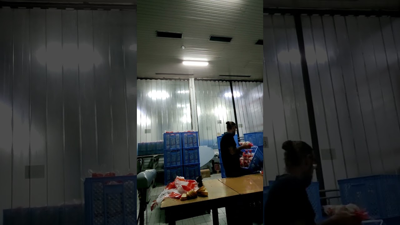 Сербия: Будни на заводе  