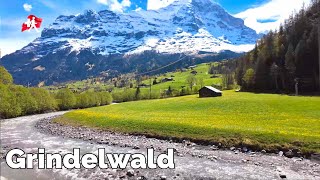 Most amazing Village Grindelwald Switzerland Walking Tour 🇨🇭