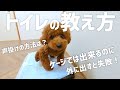 【誰でもできる】トイレトレーニングが成功する効果的な方法を教えます！