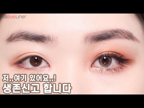 .| <strong>비비아라</strong> BBEYELINER