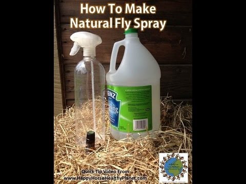 Natural Fly Spray For Your Horse - YouTube