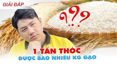 Năng suất ấn tượng 1 tấn thóc cho ra 650kg gạo? I Dây chuyền xay xát lứa gạo giá rẻ