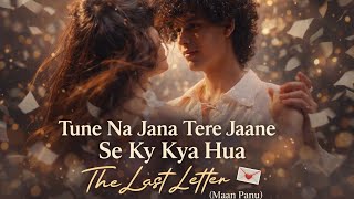 Tune Na Jana Tere Jaane Se Kya Kya Hua | Tune Na Jana  | The Last Letter | Maan Panu 
